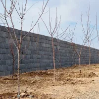 باغ ویلایی|فروش خانه و ویلا|مشهد, درزآب|دیوار