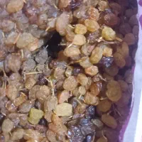 کشمش بیدانه کشمشی اصل اورگانیک|عمده‌فروشی|مشکان, |دیوار