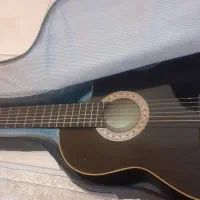 کیف گیتار خالی