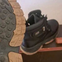 سالم و بدون هیچ مشکلی