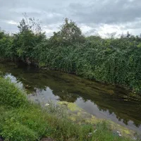 کدمشت اصغر/۱۱۰۰متر زمین بخر۱۰۰۰متر دیگه جایزه ببر|فروش زمین و ملک کلنگی|کوچصفهان, |دیوار