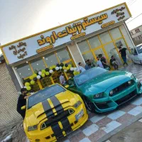 سیستم تزئینات اروند