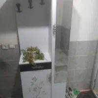 جاکفشی ایستاده