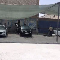 نیروی کارگر حرفه ای کارواش