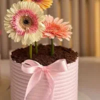 روز مادر|خدمات پذیرایی، مراسم|خوی, |دیوار