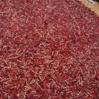 فرش در ابعاد ۱۶۰در ۲۳۰سانتی متر