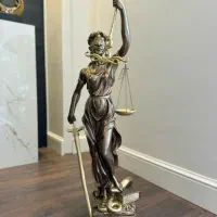 (وکیل دادگستری)