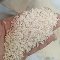 برنج محلی هاشمی گیلان،۱۴۰۵