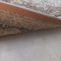 فرش ۱۲ متری پاتریس|فرش|رودهن, |دیوار