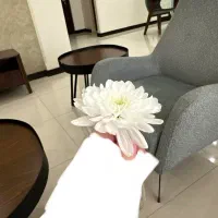 همخونه (خونه دارم)