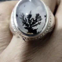 انگشتر شجر قائن|جواهرات|قم, نیروگاه|دیوار