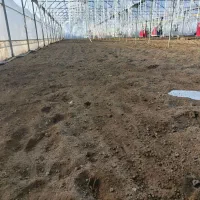 کارگر گلخانه