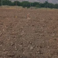 زمین جهت باغ