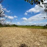 ملک دوکاربردی در شفت زندگی و درآمد کنار هم|فروش خانه و ویلا|شفت, |دیوار