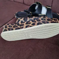 صندل پلنگی|کیف، کفش، کمربند|خرم‌آباد, |دیوار