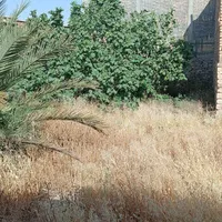 فروش زمین ۲۳۰ متری در برمشور علیا|فروش زمین و ملک کلنگی|شیراز, برمشور علیا|دیوار