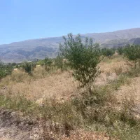 باغ حسن اباد سنجلو دوتا قطعه هفصد متری با اب چاه