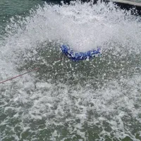 ماهی قزل آلا