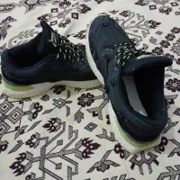 کتانی اورجینال|کیف، کفش، کمربند|اردبیل, |دیوار