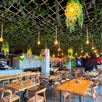 نیروی سالندار و قلیان زن وبارتندر برای کافه