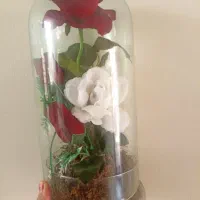 گل شیشه