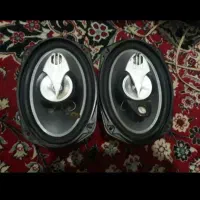 باند پایونر