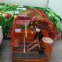 قفس مناسب برای پرنده نارنجی