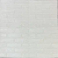 بک گراند عکاسی.