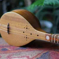 آموزش سه تار و تار (موسیقی) تدریس در منزل هنرجو