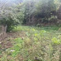 زمین ویلایی دربهارستان پشت باغ حافظ|فروش زمین و ملک کلنگی|آستارا, |دیوار