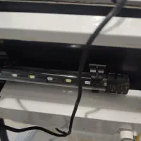 آکواریوم|ماهی|ساری, |دیوار