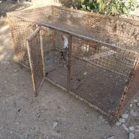 قفس جا مرغی|لوازم جانبی حیوانات|یاسوج, |دیوار