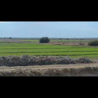 زمین کشاورزی واقع در شادگان|فروش دفتر صنعتی، کشاورزی، تجاری|شادگان, |دیوار