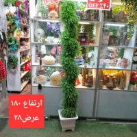 گل شمشادی بلند|گل مصنوعی|تهران, دهقان|دیوار