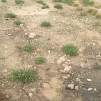 زمین ۳۲۰متر لب خیابون درجزین|فروش زمین و ملک کلنگی|مهدی شهر, |دیوار