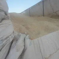 کاه سفید|لوازم جانبی حیوانات|شاهین دژ, |دیوار