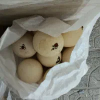 تخم شتر مرغ|حیوانات مزرعه|اصفهان, برازنده|دیوار