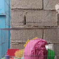 ۲ عدد قفس پرنده همراه با وسایلش