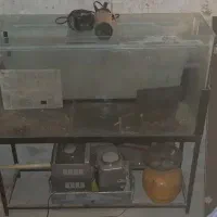 آکواریوم پایه آهنی محکم ضدزنگ|ماهی|تاکستان, |دیوار