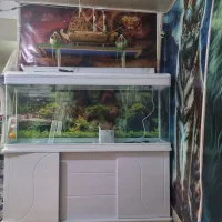 اکواریوم K1500شرکتی باهمه لوازم جانبی