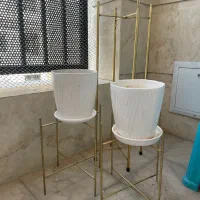 گلدان و پایه