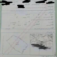 زمین پاتل ایسین