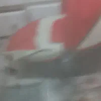 کریر نوزاد رایگان