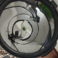 سبزی‌خردکن|خردکن، آسیاب، غذاساز|فولادشهر, B1|دیوار