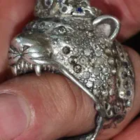 انگشتر عتیقه سلطان فوق کلکسیونی ((نیست در جهان))