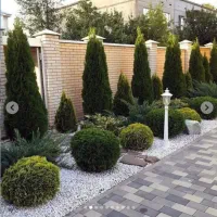 طراحی و اجرای فضای سبز