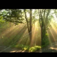 راهنمایی کنید (درمورد کار)