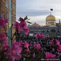 ویژه کیش مشهد قشم