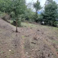 ۱۰۰۰متر زمین جیرمحله طالکوه جنگلی|فروش زمین و ملک کلنگی|برهسر, |دیوار