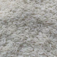 برنج طارم هاشمی